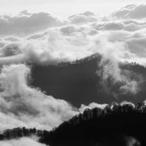 Photo #13755009