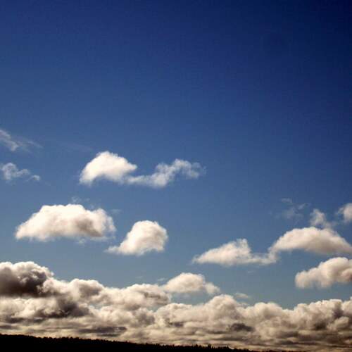 Photo #13755015