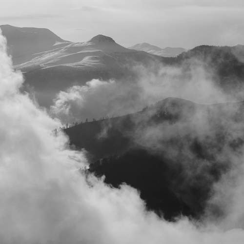 Photo #13755020