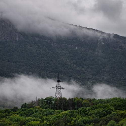 Photo #13755040