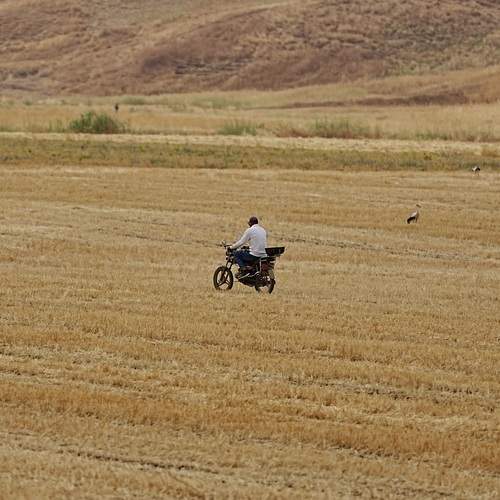 Photo #13755064