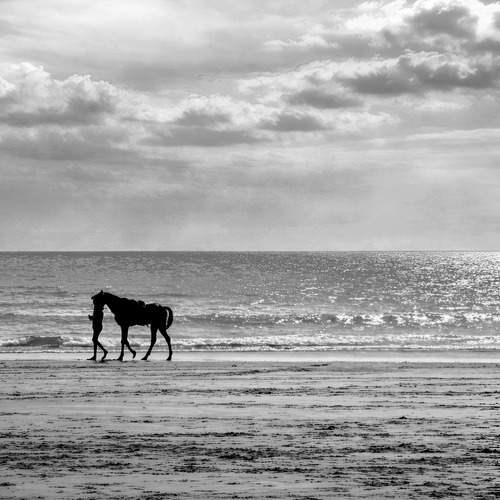 Resilience in Stillness