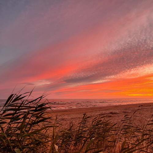 Photo #13755127