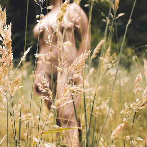 Photo #13755190