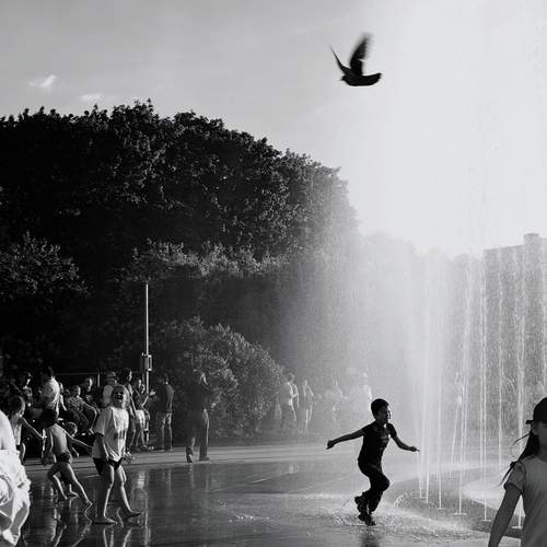 Photo #13755211