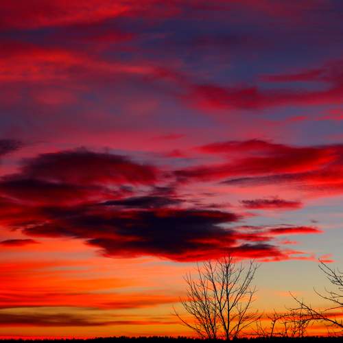 Photo #13755234