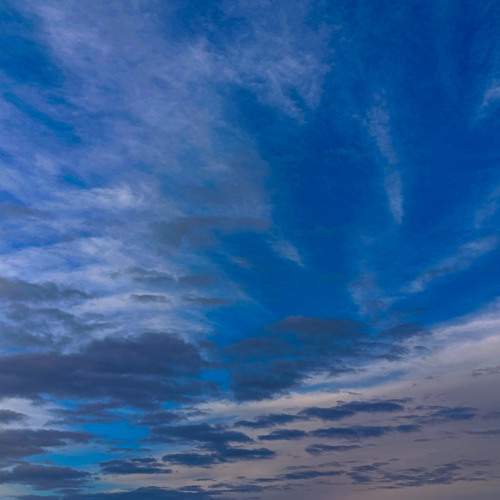 Photo #13755241