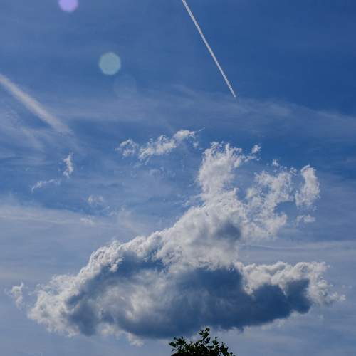 Photo #13755287