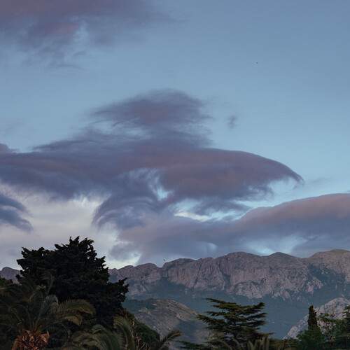 Photo #13755303