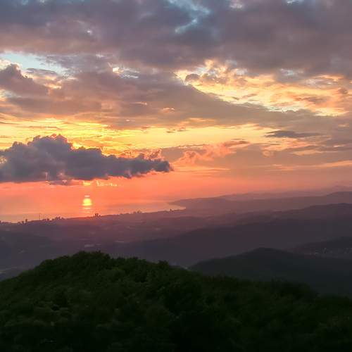 Photo #13755311