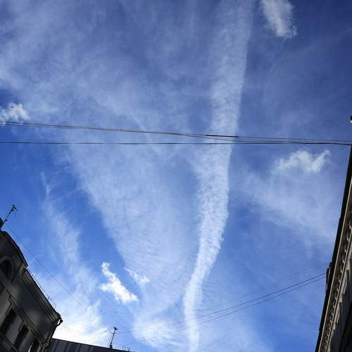 Photo #13755347