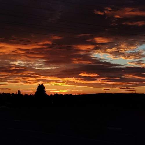 Photo #13755410