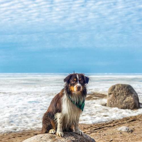 Photo #13755417