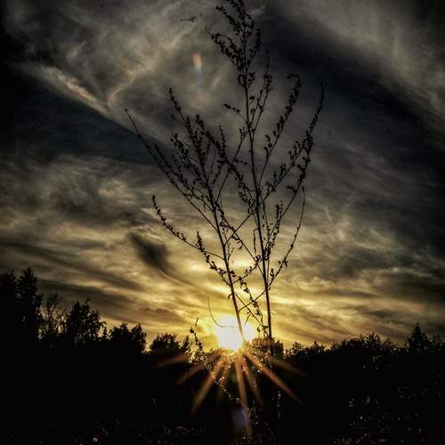 Photo #13755424