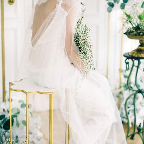 Photo #13755427