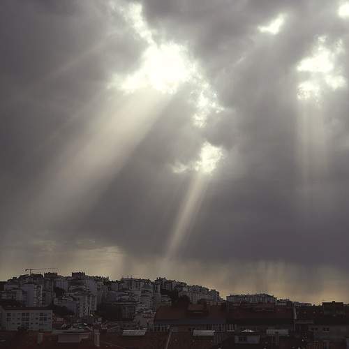 Photo #13755430