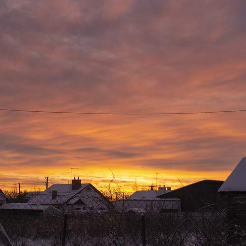 Photo #13755431