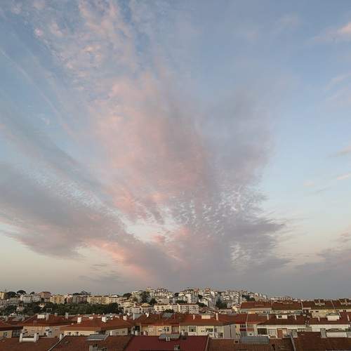 Photo #13755433