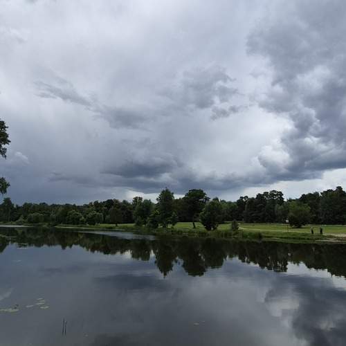 Photo #13755441