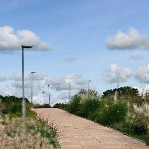 Photo #13755442