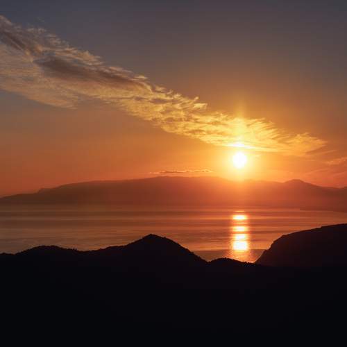 Photo #13755449