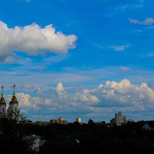 Photo #13755466