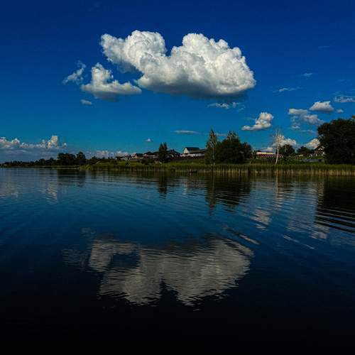 Photo #13755467