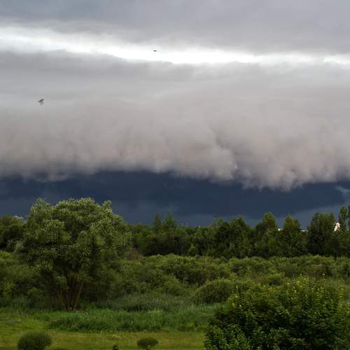 Photo #13755473