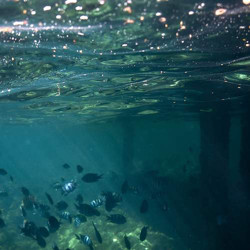 Photo #13755512