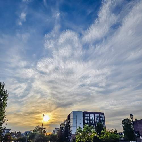 Photo #13755519