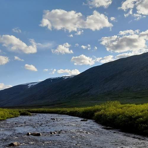 Photo #13755542