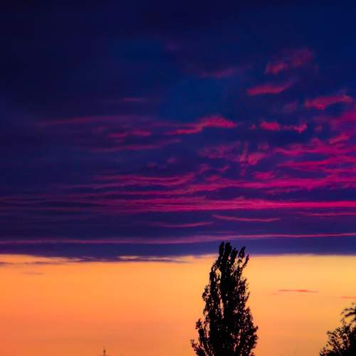Photo #13755549