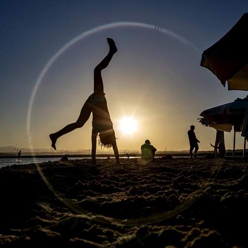 Photo #13755552