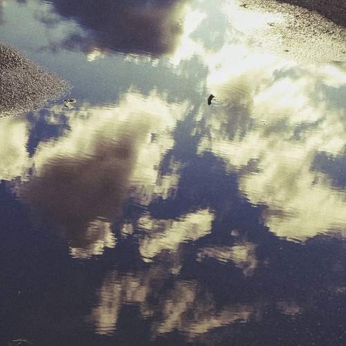 Photo #13755570