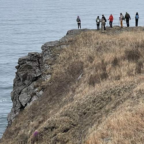 Photo #13755612