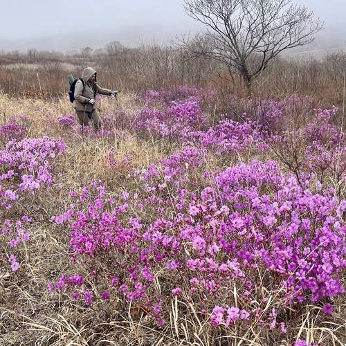 Photo #13755618