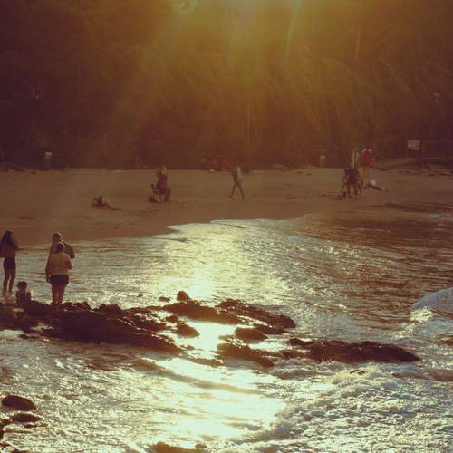 Photo #13755644