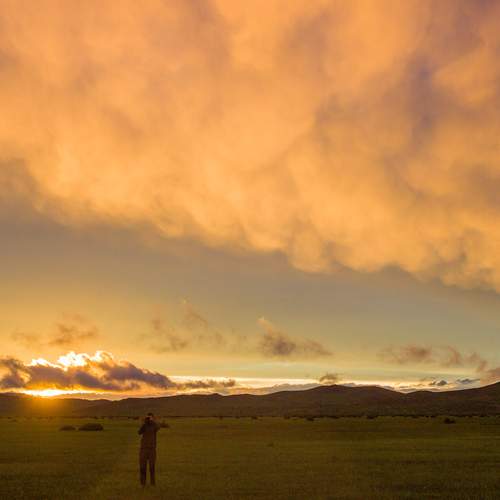 Photo #13755647