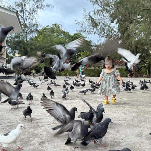 Photo #13755651