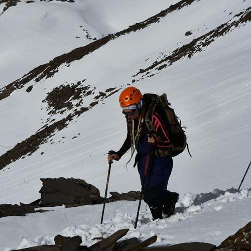 Photo #13755676