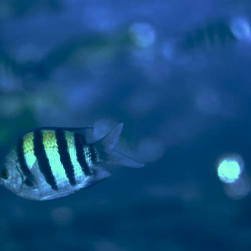Photo #13755682
