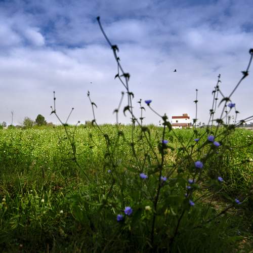 Photo #13755686