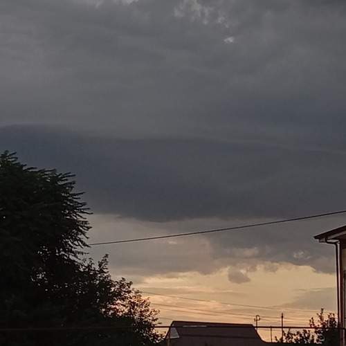 Photo #13755733