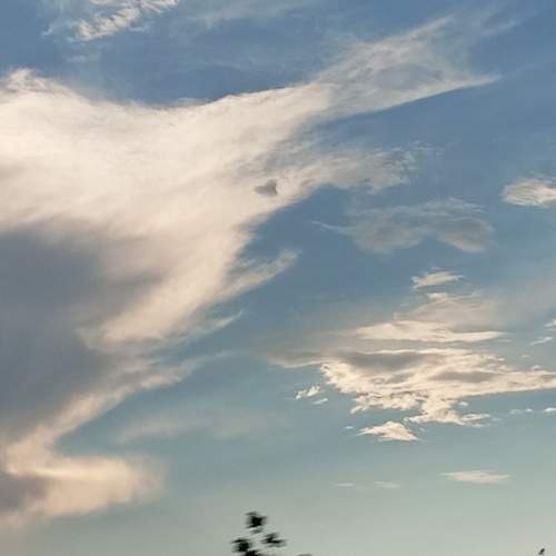 Photo #13755738
