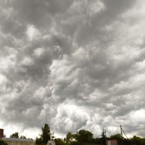 Photo #13755742