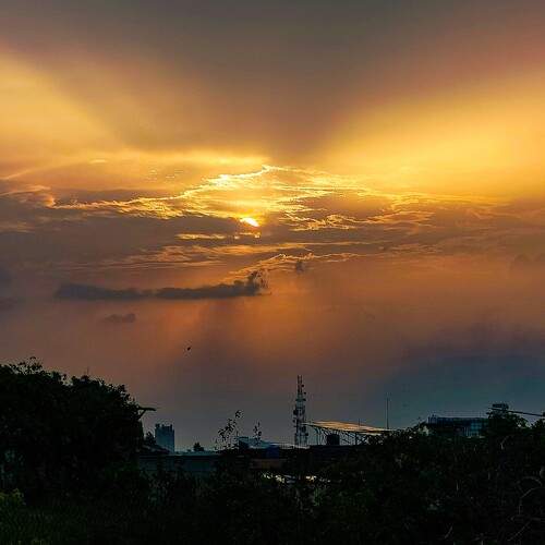 Photo #13755823