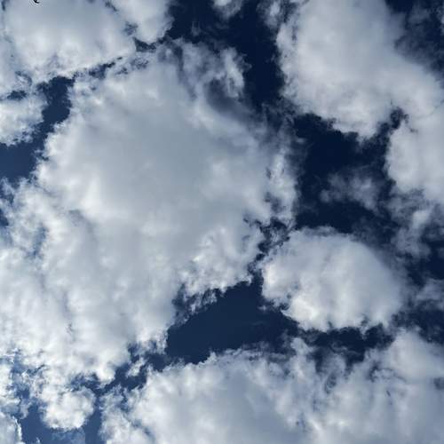 Photo #13755827