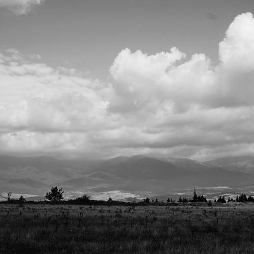 Photo #13755860