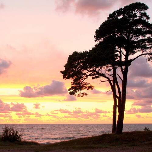 Photo #13755882