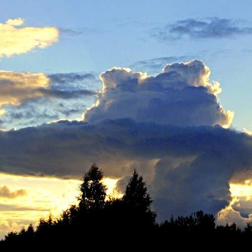 Photo #13755893